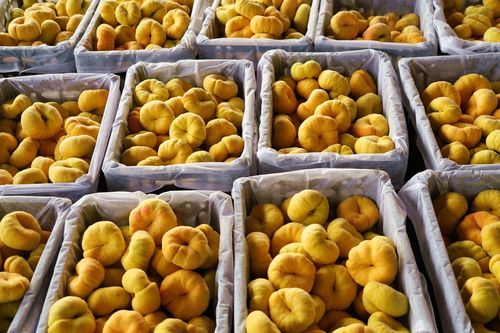 中国桃子产量vs各国