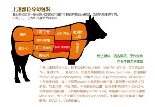 进口牛肉和黄牛肉的区别